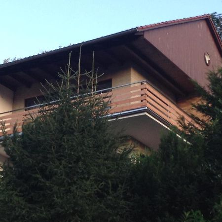Appartement LeCiel à Bad Lauterberg Extérieur photo